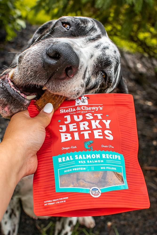 Stella & Chewy’s Just Jerky Bites – Receta de carne de res real para perros, bolsa de 6 onzas
