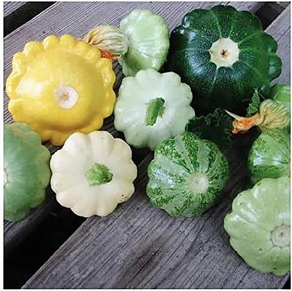 Semillas de calabaza dulce de albóndigas – Aproximadamente 30 semillas