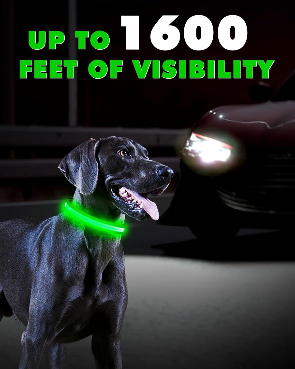 Petbank Collar de perro con luz LED, 7 colores RGB y 5 modos de luz, ajustable recargable por USB, collares de perro que brillan en la oscuridad,