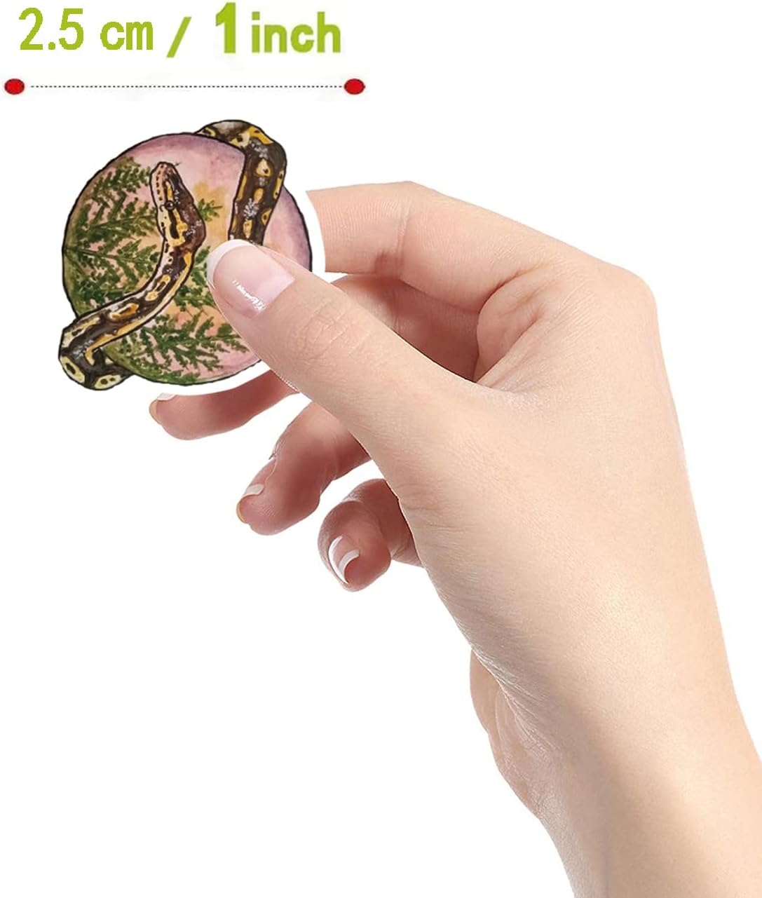 Calcomanías de serpiente (500 unidades) Paquete de 10 calcomanías de arte para mascotas  Calcomanías para niños, adolescentes, niñas, adultos,