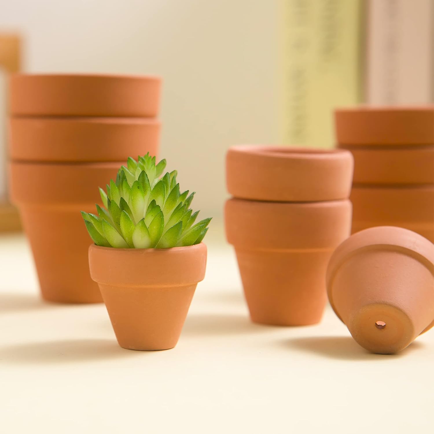 Mini macetas de terracota con agujeros de drenaje, maceta de cactus suculenta de 1.2 pulgadas, macetas pequeñas de arcilla para cactus pequeños