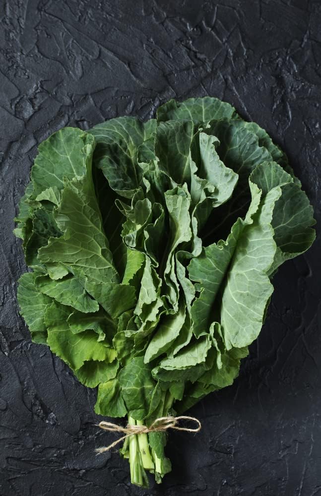 Georgia Southern Collards Seeds para plantar, más de 500 semillas tradicionales por paquete, semillas de jardín de Isla (semillas de jardín de