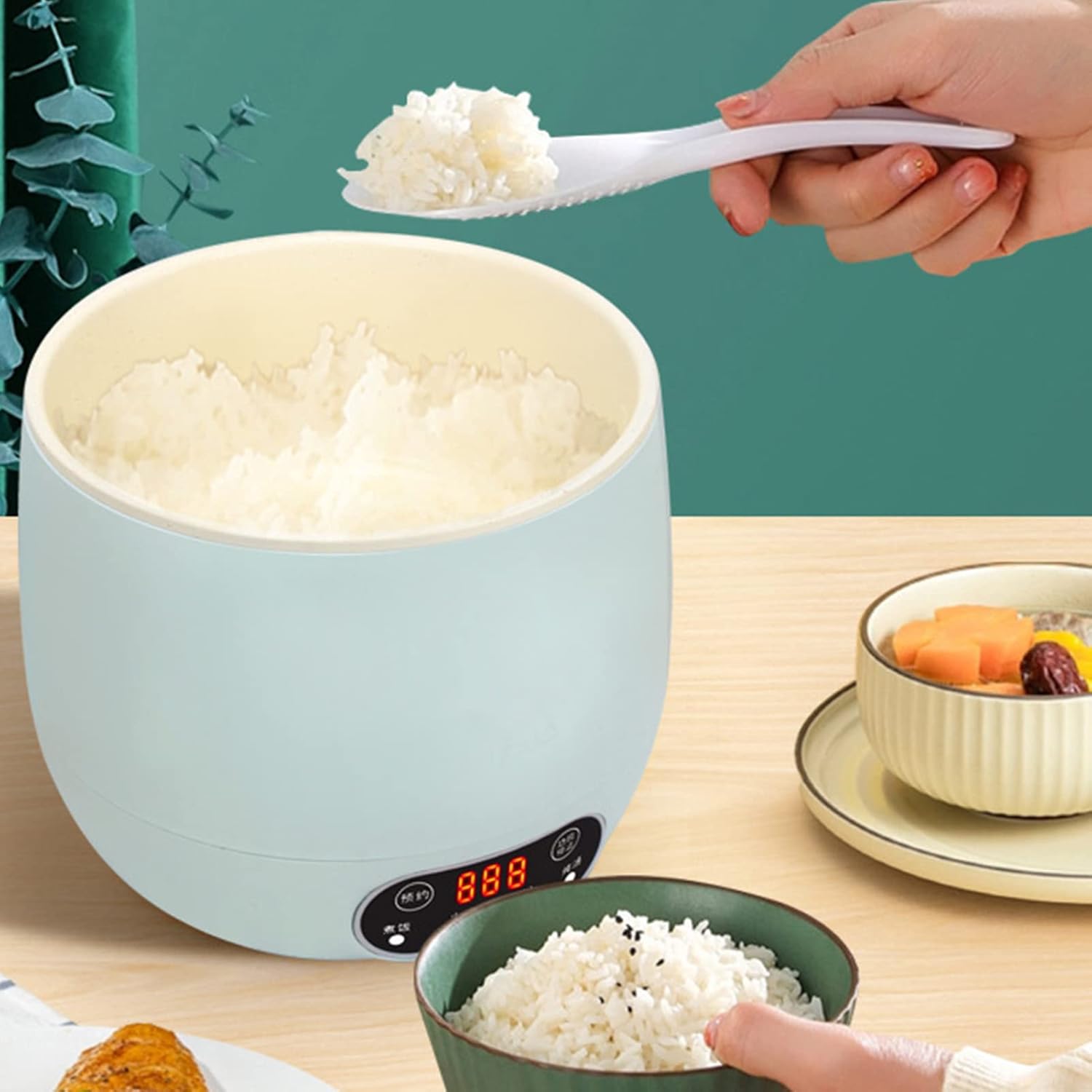 Arroceras, forro y tapa transparente, ideal para 2 personas, mini olla de arroz portátil con antiadherente