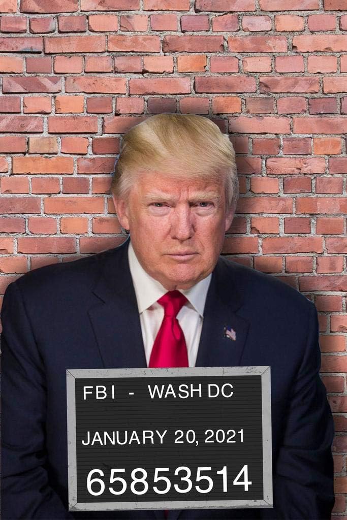 Póster de Donald Trump Mugshot divertido político genial para decoración de pared, 16 x 24 pulgadas