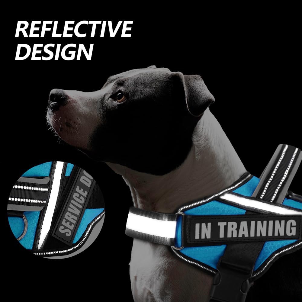 in Training – Juego de arnés y parches para perro, arnés para perro con 8 parches para perros, chaleco reflectante con asa para perros pequeños,