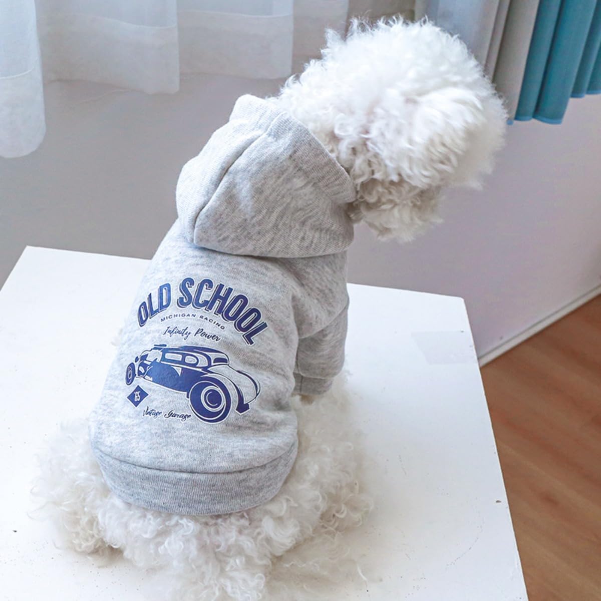 Sudadera con capucha para perro, suéter elegante con estampado para clima frío, abrigo cálido para mascotas, abrigos para clima frío, ropa para