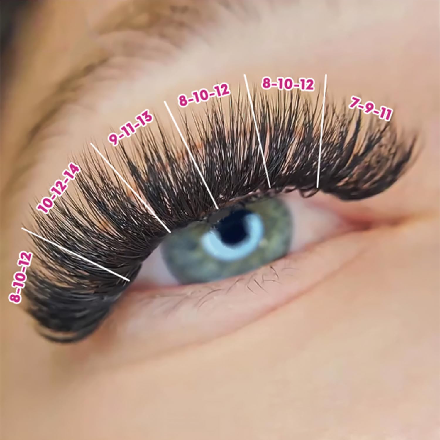 Eyesy Lash 500 extensiones de pestañas Camellia  5D 0.07 Tamaño 7-0.354-0.433 in Curl D  Pestañas de volumen americano múltiples longitudes