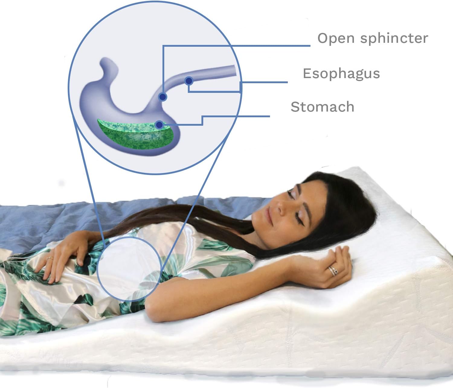Back Support Systems Cuña de cama para reflujo ácido. Espuma viscoelástica de alta calidad de una pulgada. Ayuda a aliviar la ERGE, la circulación y