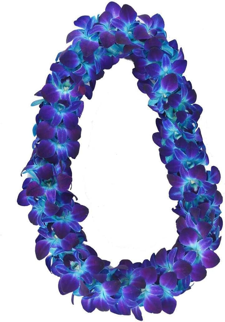 Miami Fresh Orchid Flower OrchidClub USA Sunne Tropical Loose Bloom DIY Lei, decoración de alimentos y bebidas (50 azul)