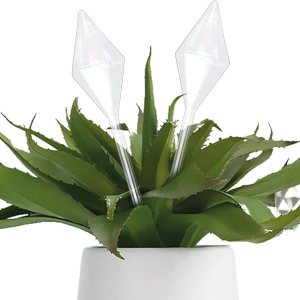 Orunpe 2 globos de riego de plantas, dispositivos de riego de plantas de vidrio, inserto de maceta de riego automático para accesorios de plantas de Orunpe 2 globos de riego de plantas, dispositivos de riego de plantas de vidrio, inserto de maceta de riego automático para accesorios de plantas de