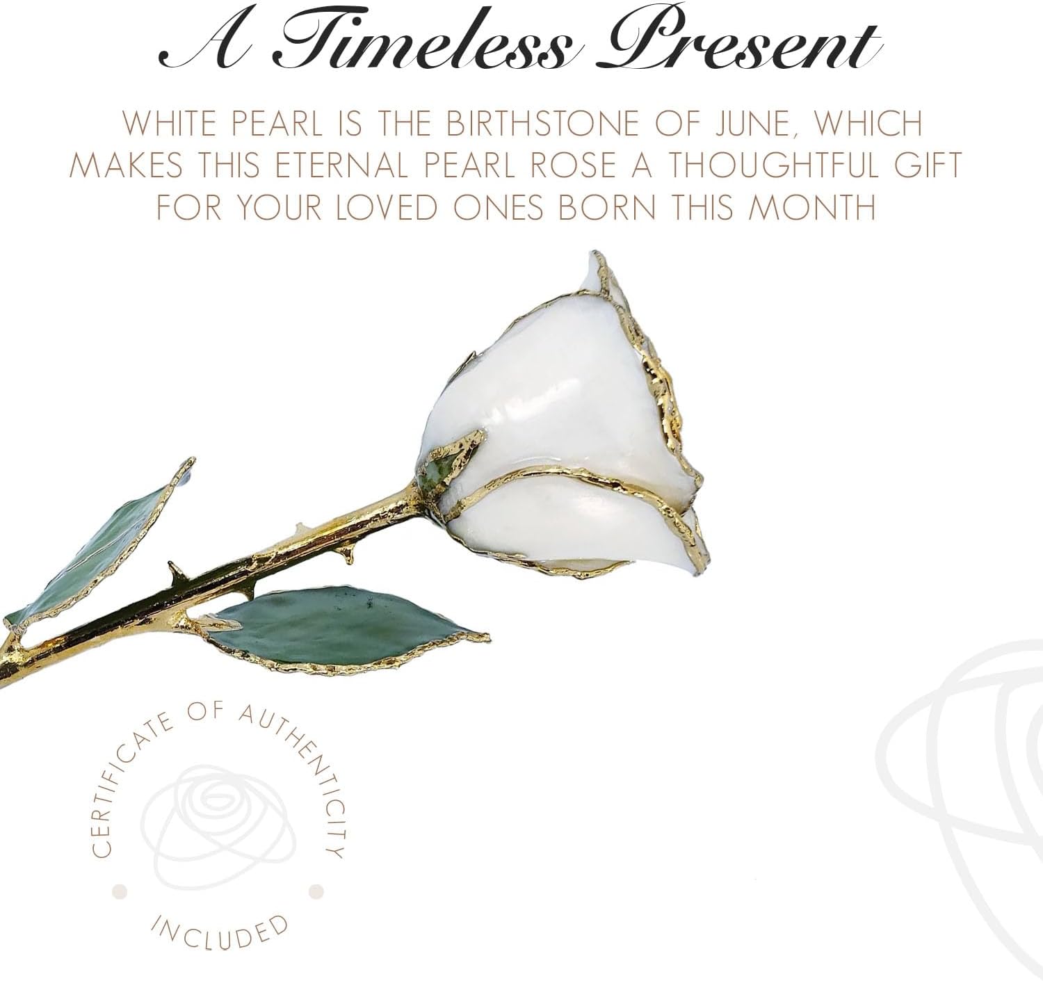 Forever Rose Rosa perla blanca bañada en oro de 24 quilates, piedra natal de junio, una rosa única y eterna perla blanca real bañada en oro de 24