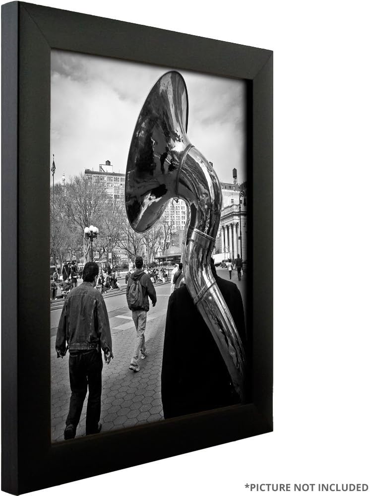 Craig Frames – Marcos para fotos con acabado liso, 1 pulgada de ancho, varios colores., Especialidad, Negro, 8×10
