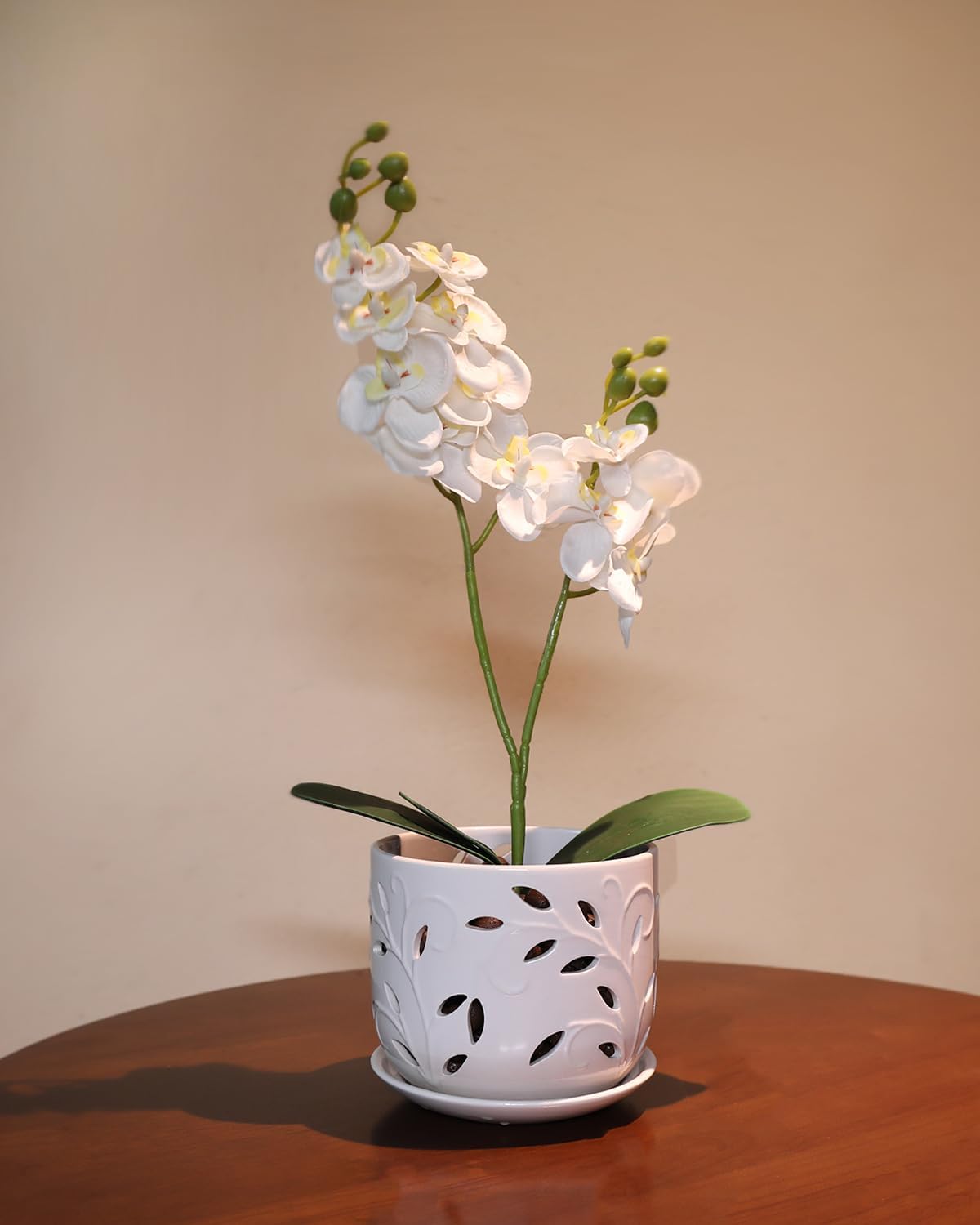 EFISPSS Maceta de orquídea con agujeros, macetas de cerámica de 5+6 pulgadas con agujeros de drenaje y bandeja, promueve el crecimiento de plantas
