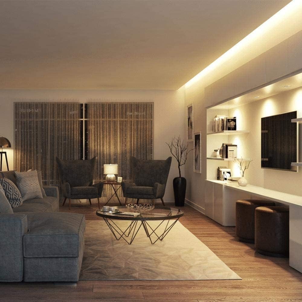 GUPUP Luces de neón (blanco cálido), tira de luces LED de 16.4 pies, 24 V, 600 LED, flexible, impermeable, luces LED para dormitorio, sala de
