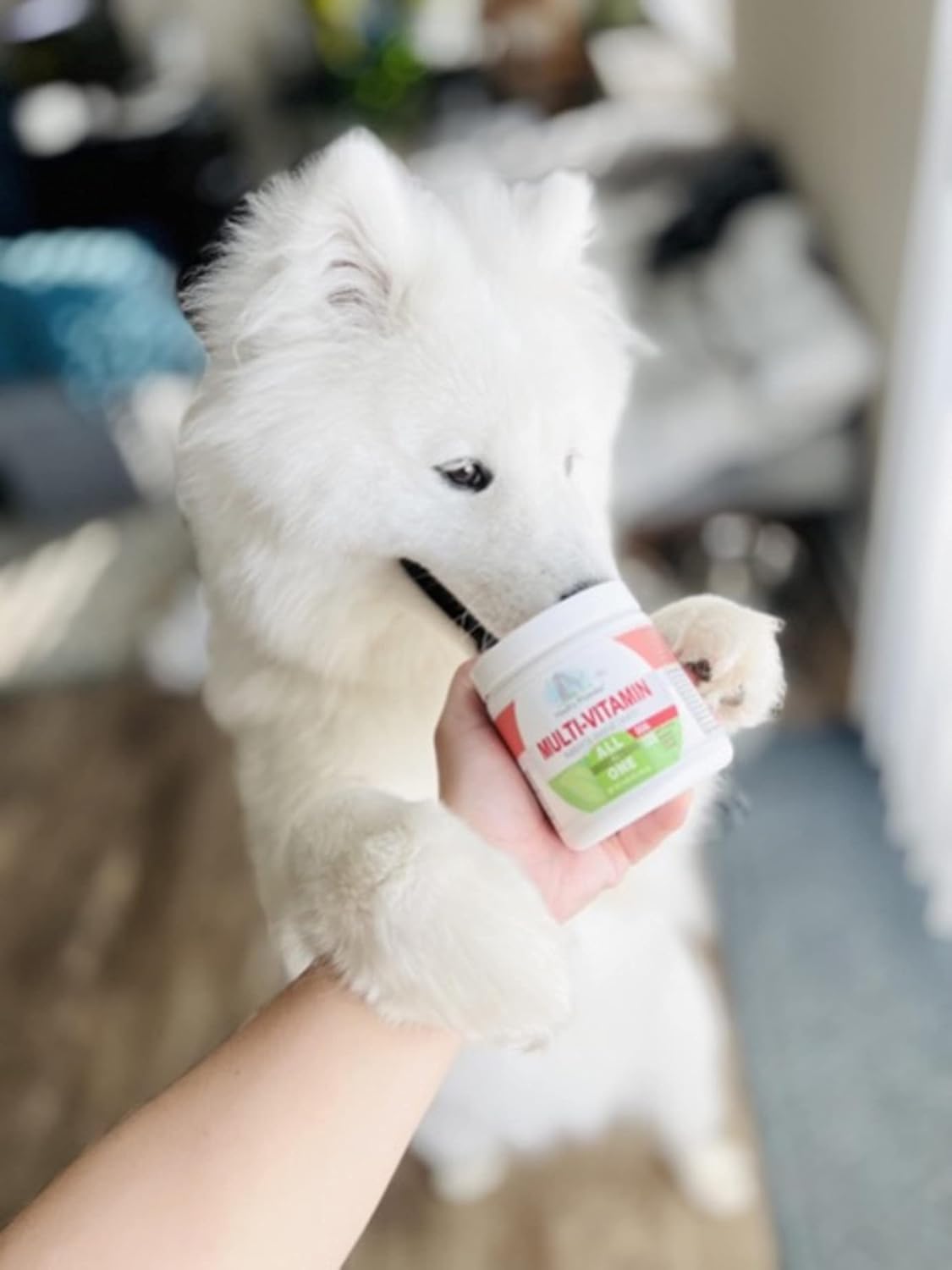 Four Paws Healthy Promise Dog Multivitamínico Masticable Suave 120 unidades