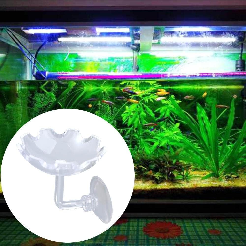 3 platos acrílicos de alimentación de camarones, comedero floral para camarones, recipiente transparente para acuario con ventosa para acuario,