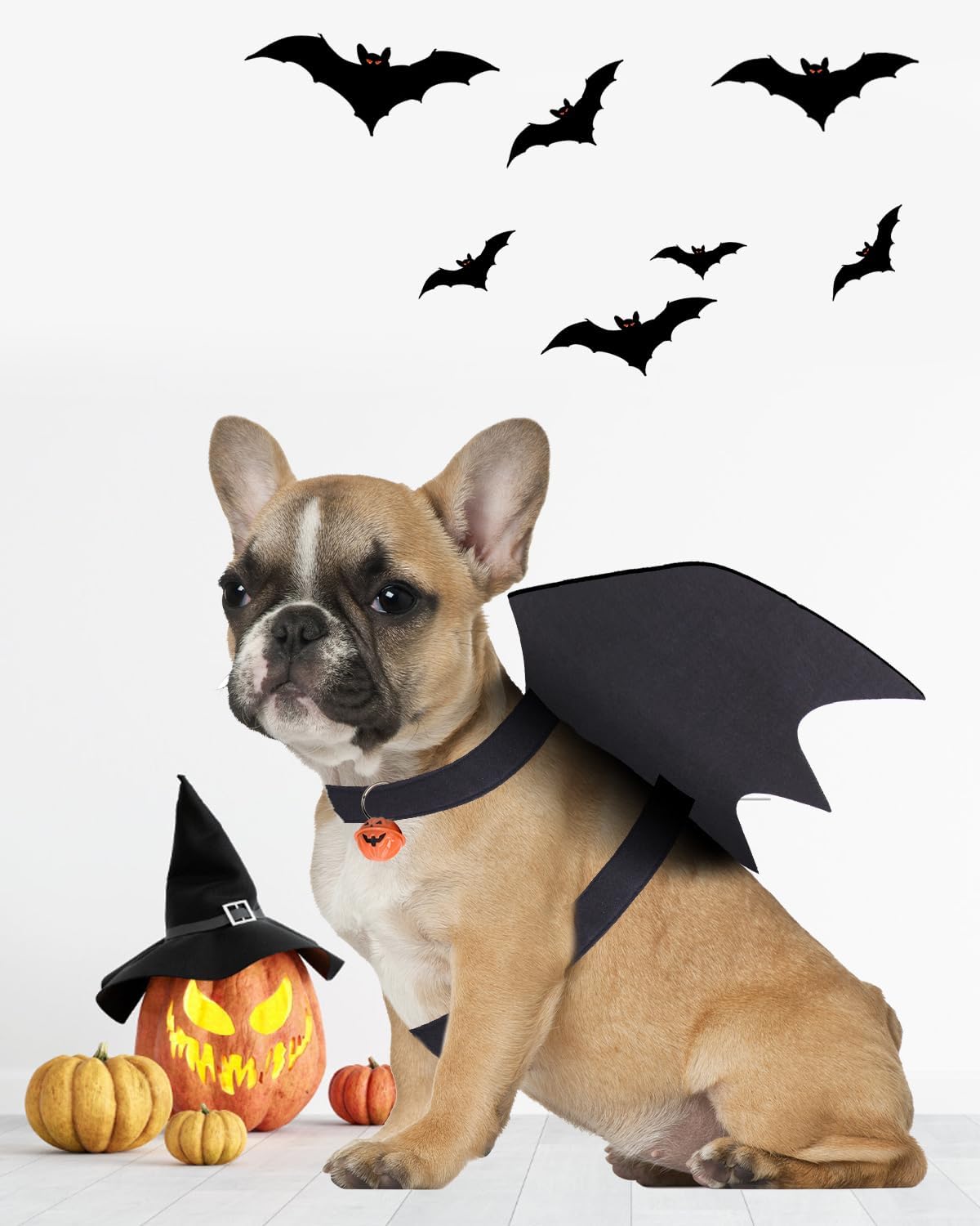 Disfraz de Halloween para perro pequeño, alas de murciélago de perro con campana de calabaza para mascotas, disfraz de fiesta de cosplay de