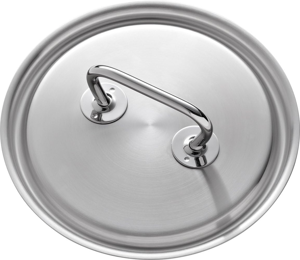 Zwilling Olla de cocina, 7.9 in, plata