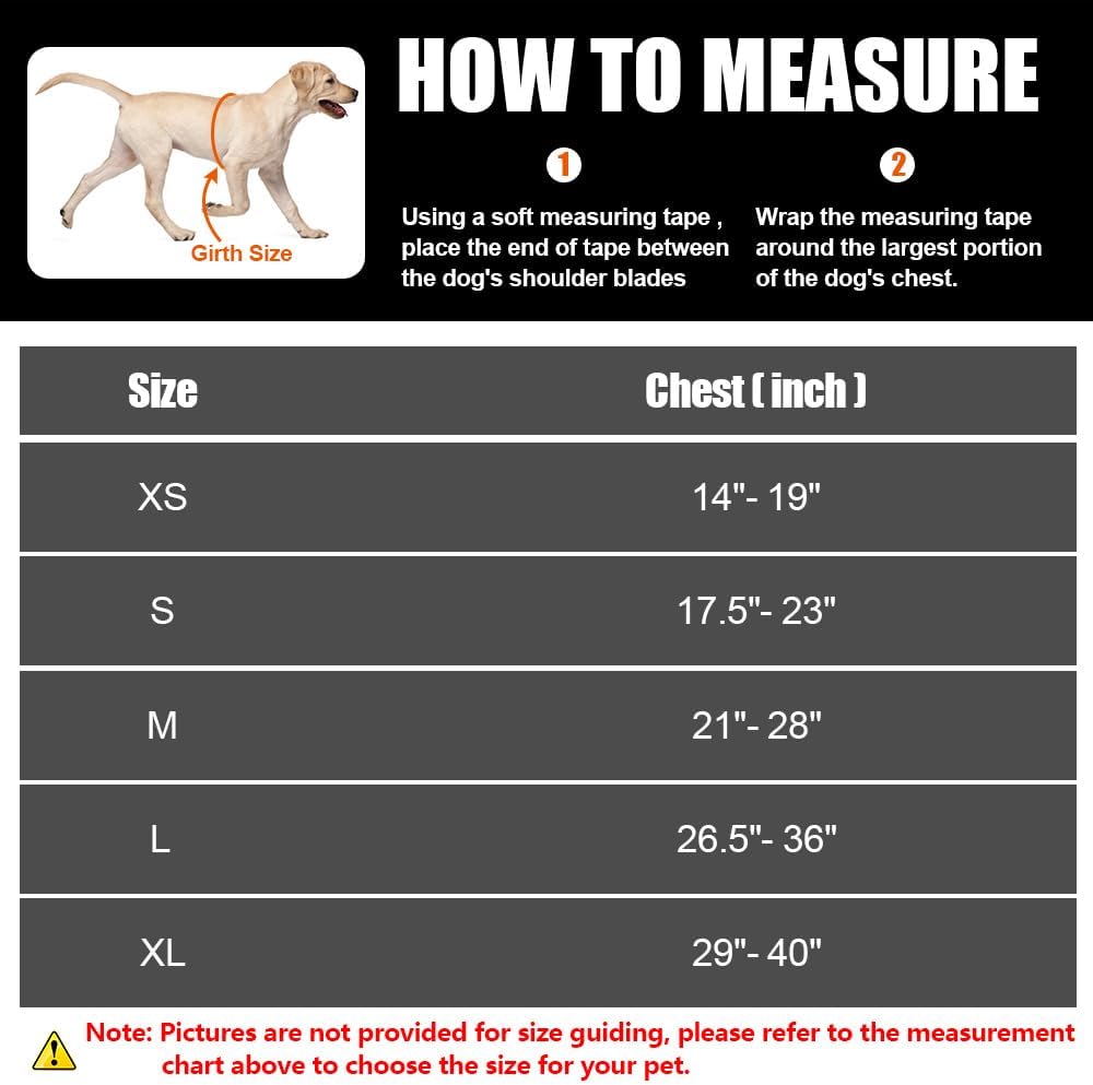 in Training – Juego de arnés y parches para perro, arnés para perro con 8 parches para perros, chaleco reflectante con asa para perros pequeños,