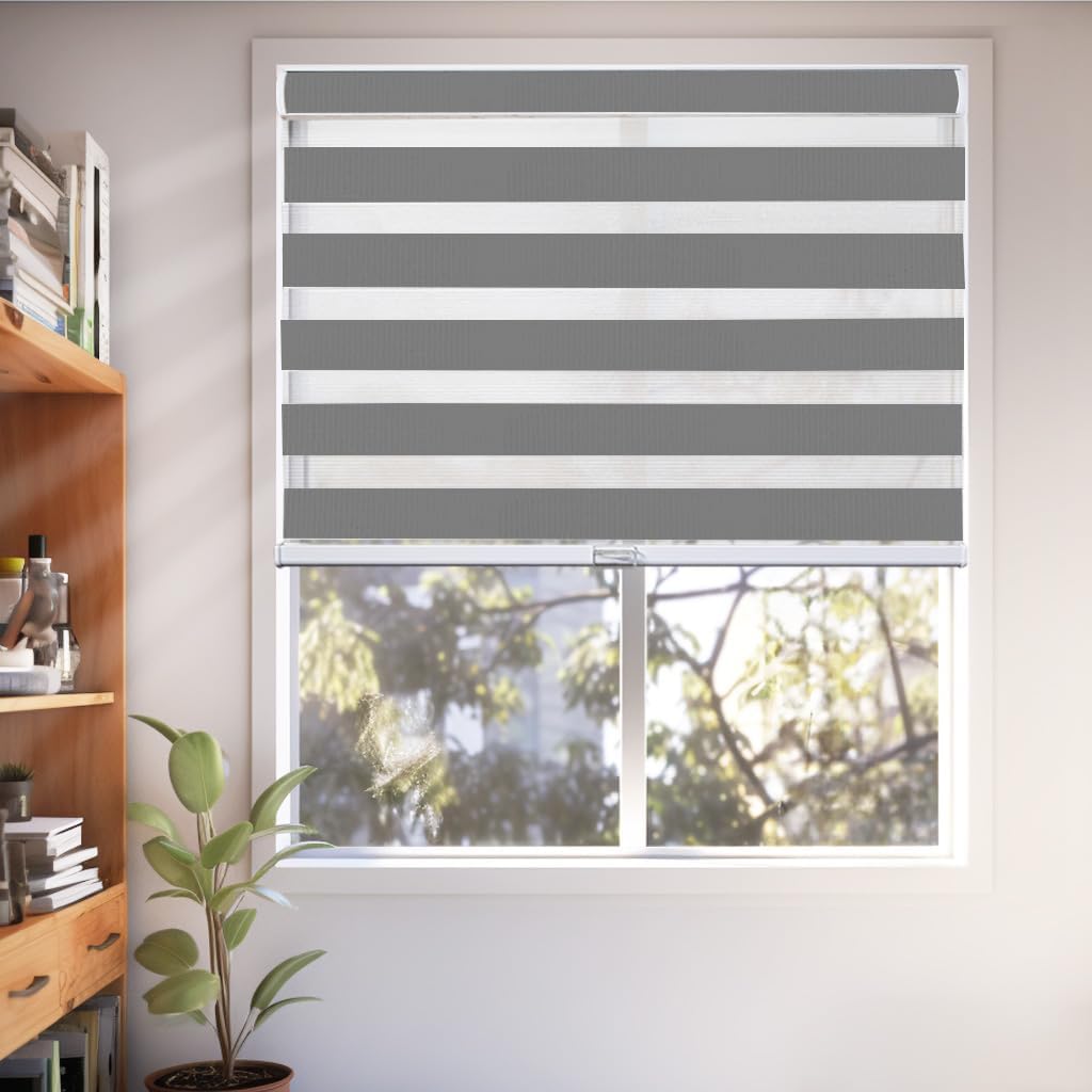 CHICOLOGY – Sombras de cebra sin varillas para uso diario, tratamiento de doble capa para ventana de filtrado de luz, ideal para niños y perfecto