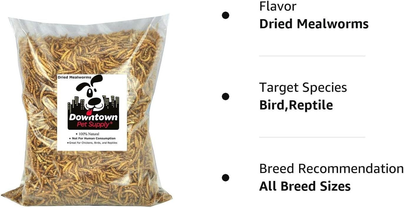 Downtown Pet Supply Gusanos secos de harina de 1 libra para aves silvestres, aves, reptiles y pequeños mamíferos ricos en vitamina B12, B5,