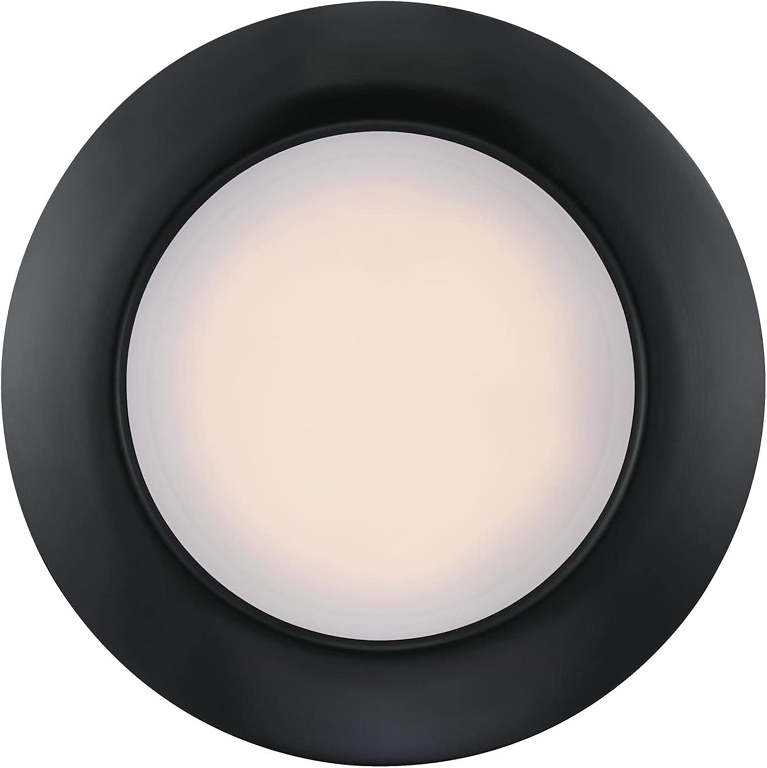 Westinghouse Lighting 6120200 Makira – Lámpara tradicional de una sola luz, 11 pulgadas, 20 W, regulable, LED, para interiores y exteriores, con