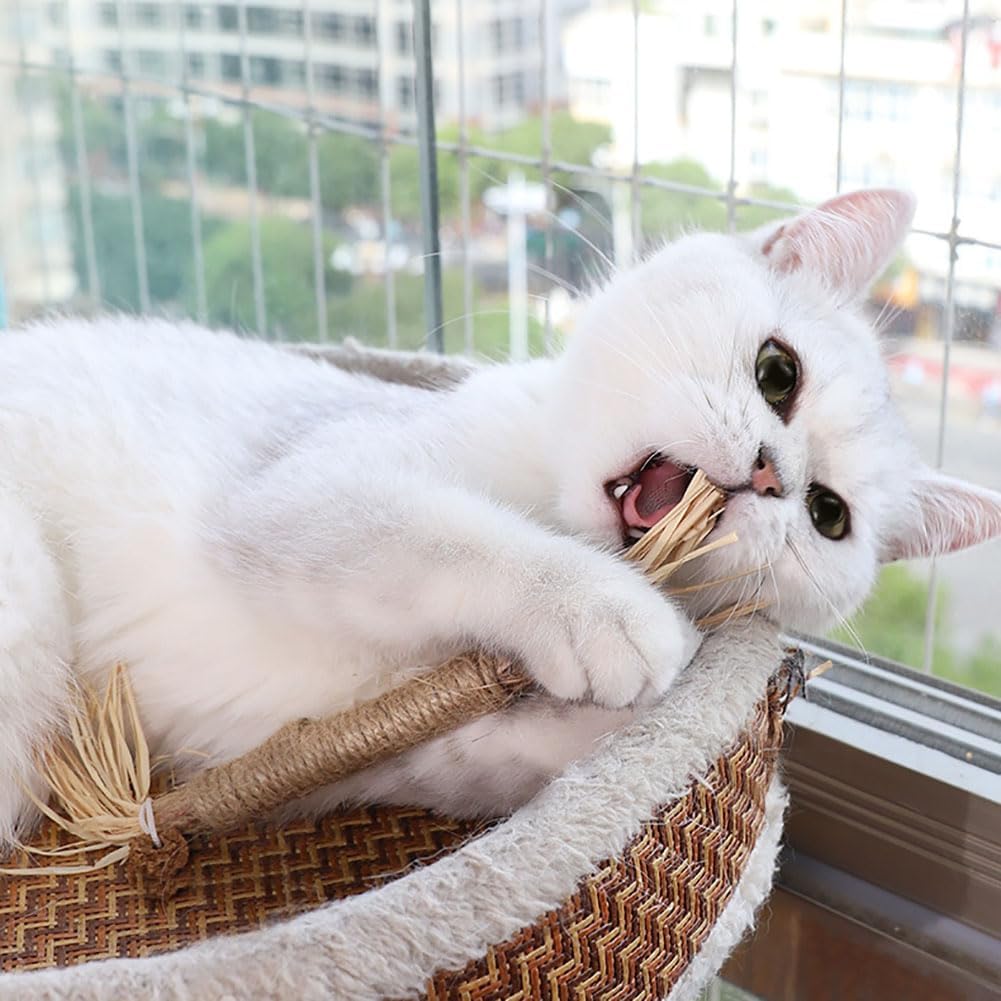 6 unidades de palitos de limpieza de dientes de gato, palitos para masticar gateras, palitos interactivos para tratar para interiores, palitos de