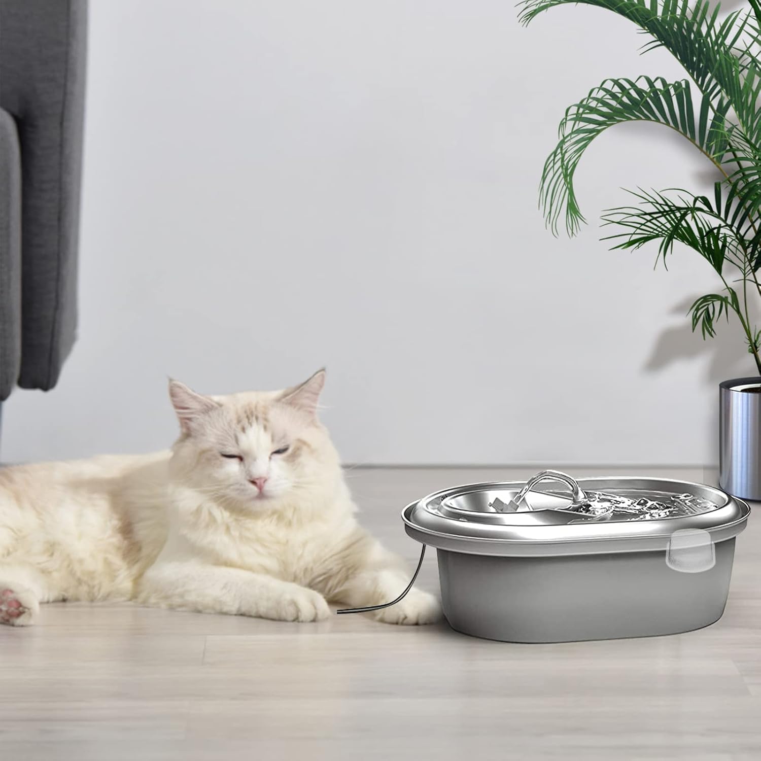 Filtros de fuente de agua para gatos, compatibles con fuente de acero inoxidable para mascotas, 8 filtros con 8 esponjas de repuesto para fuente de