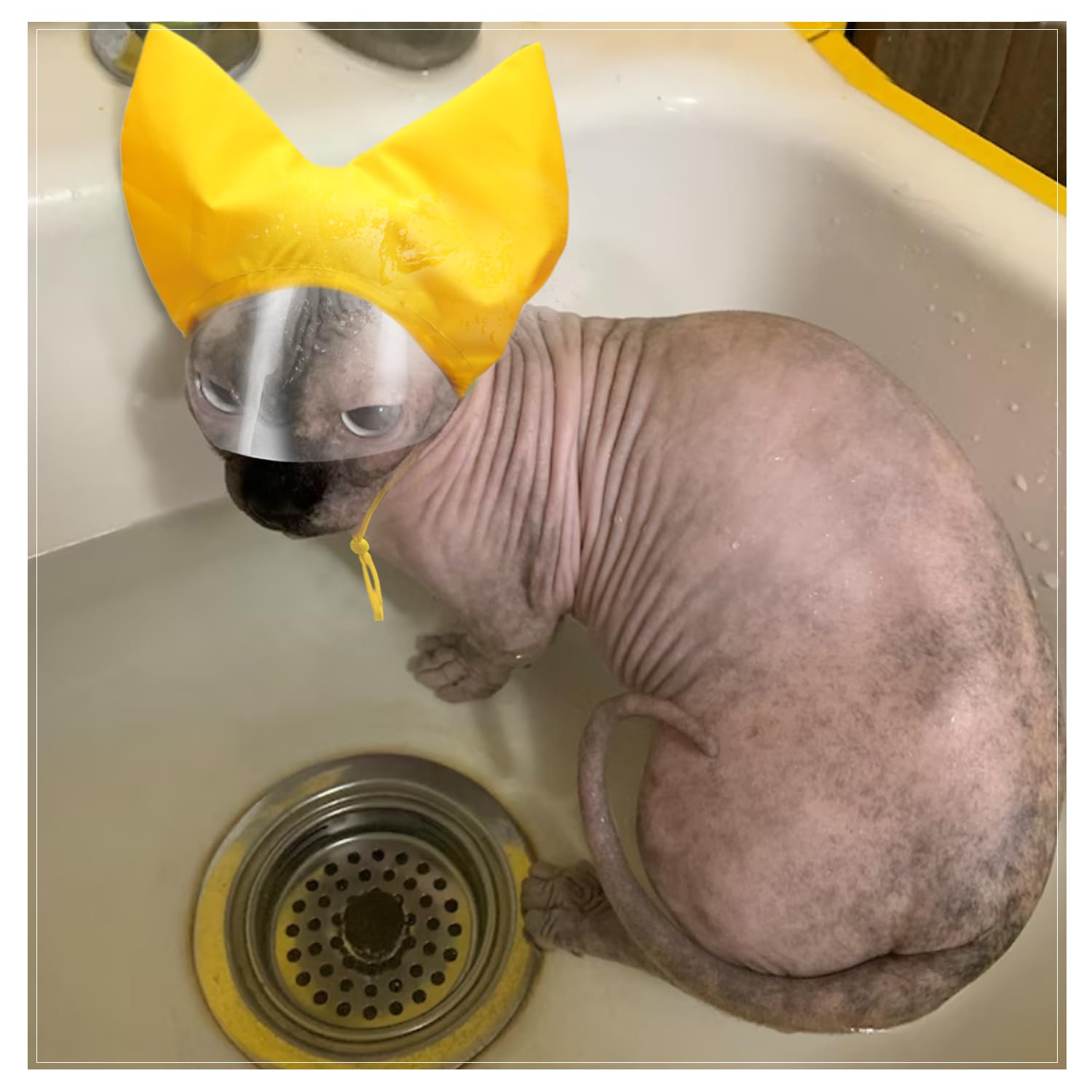 Gorro de ducha para mascotas, gorro impermeable para gatos, gorro de ducha para perros, cubiertas para orejas de baño, protección para los oídos de