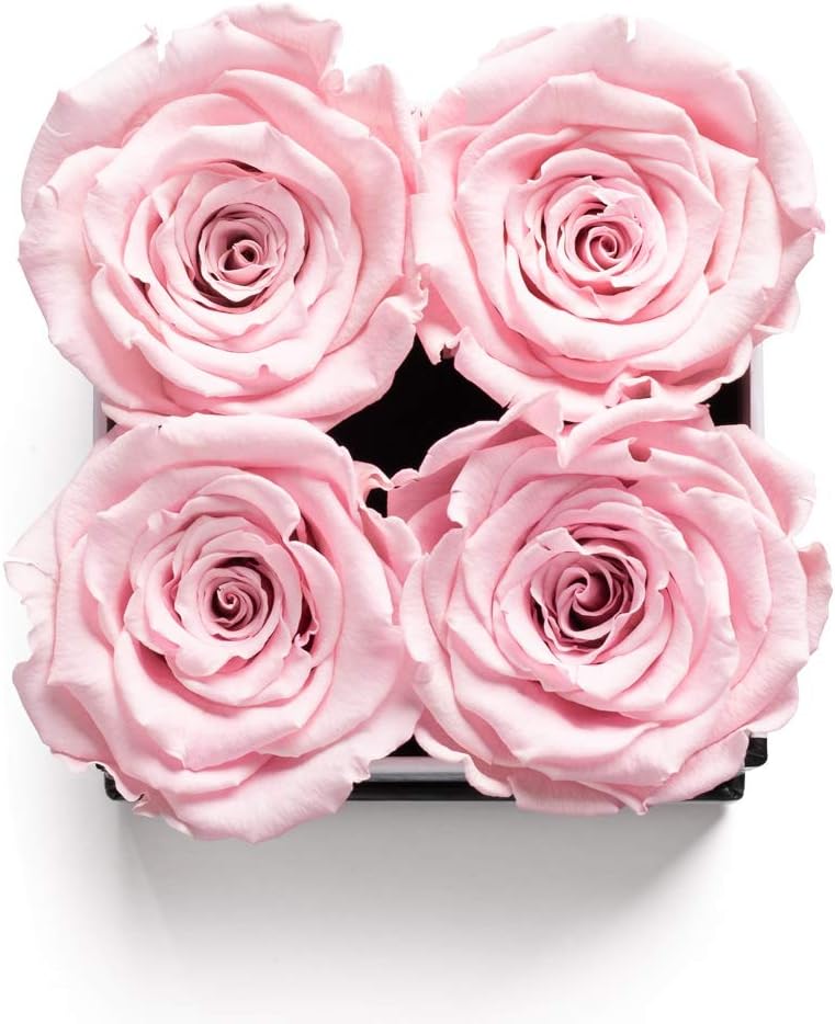 Soho Floral Arts  Rosas en caja  Rosas reales duran un año o más  Rosas eternas en caja  Flores frescas conservadas