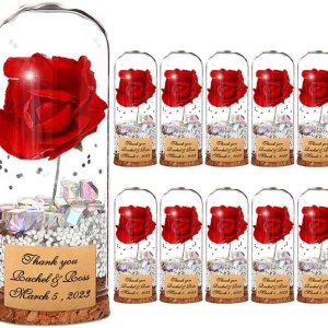 CATABUBU Suministros de decoración de fiesta de boda con cuentas blancas y rosas rojas, 11 piezas de bestia de belleza, regalos de recuerdo, CATABUBU Suministros de decoración de fiesta de boda con cuentas blancas y rosas rojas, 11 piezas de bestia de belleza, regalos de recuerdo,