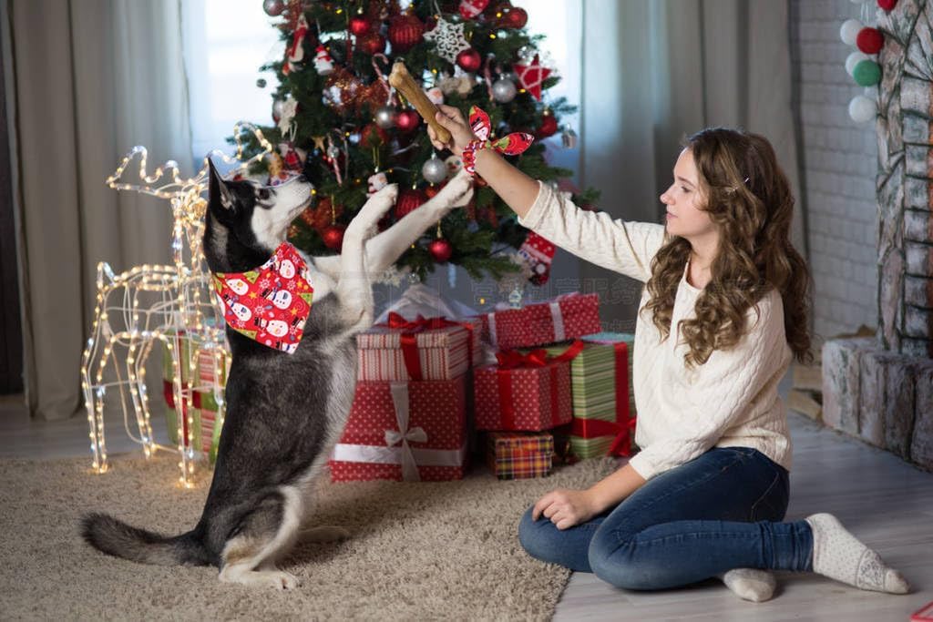 Bandanas navideñas para perros con corbatín a juego, juego de baberos triangulares reversibles, bufanda, accesorios para perros, gatos, mascotas y