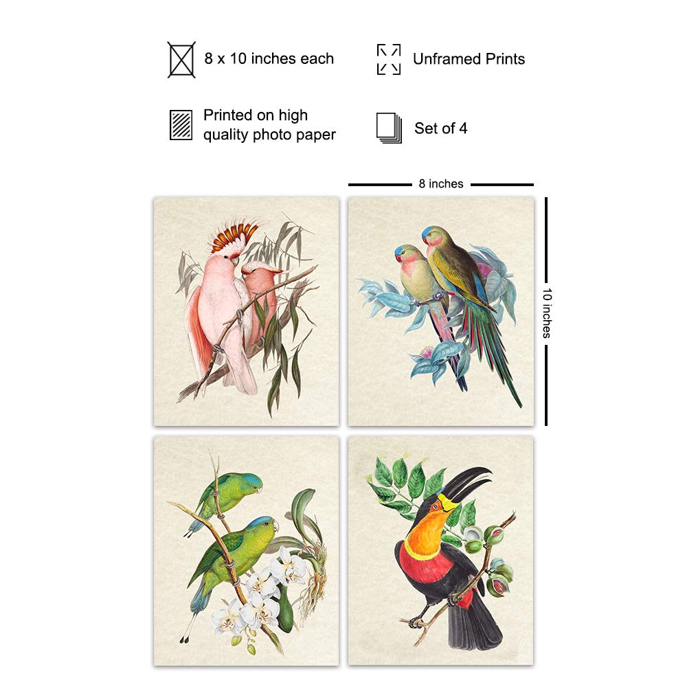 Bird Wall Art – Bird Wall Decor – Tropical Wall Decor – Tropical Birds – Parrot Decorations – Parakeet, Cockatoo, Lovebird, Toucan Wall Art –