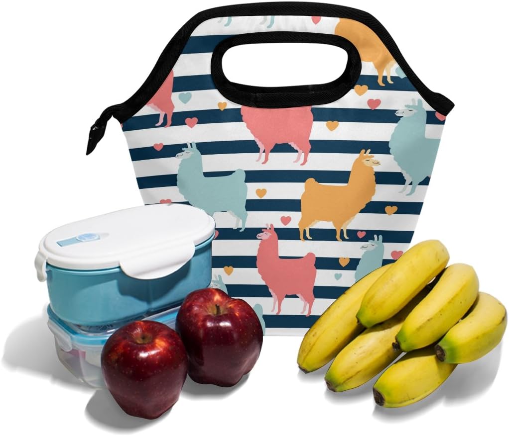 Bolsa de almuerzo con diseño de llama con rayas de neopreno aislado, calentador refrigerador, portátil, divertida, bolsa de almuerzo para hombres,