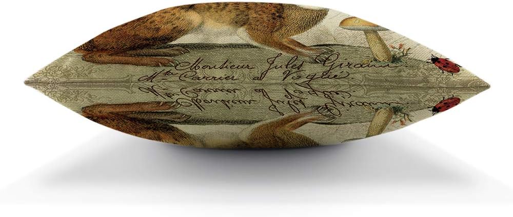 AOYEGO Funda de almohada de Pascua con diseño de conejo, diseño botánico de hojas florales y naturales, insectos, follaje, brote, 18 x 18 pulgadas,