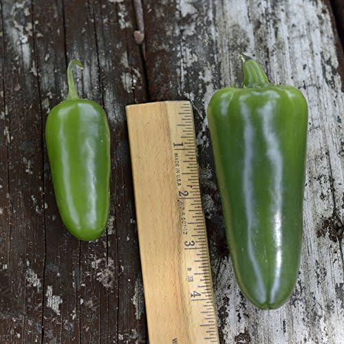 Park Seed Park’s Whopper – Semillas de pimiento jalapeño, paquete de 15 semillas