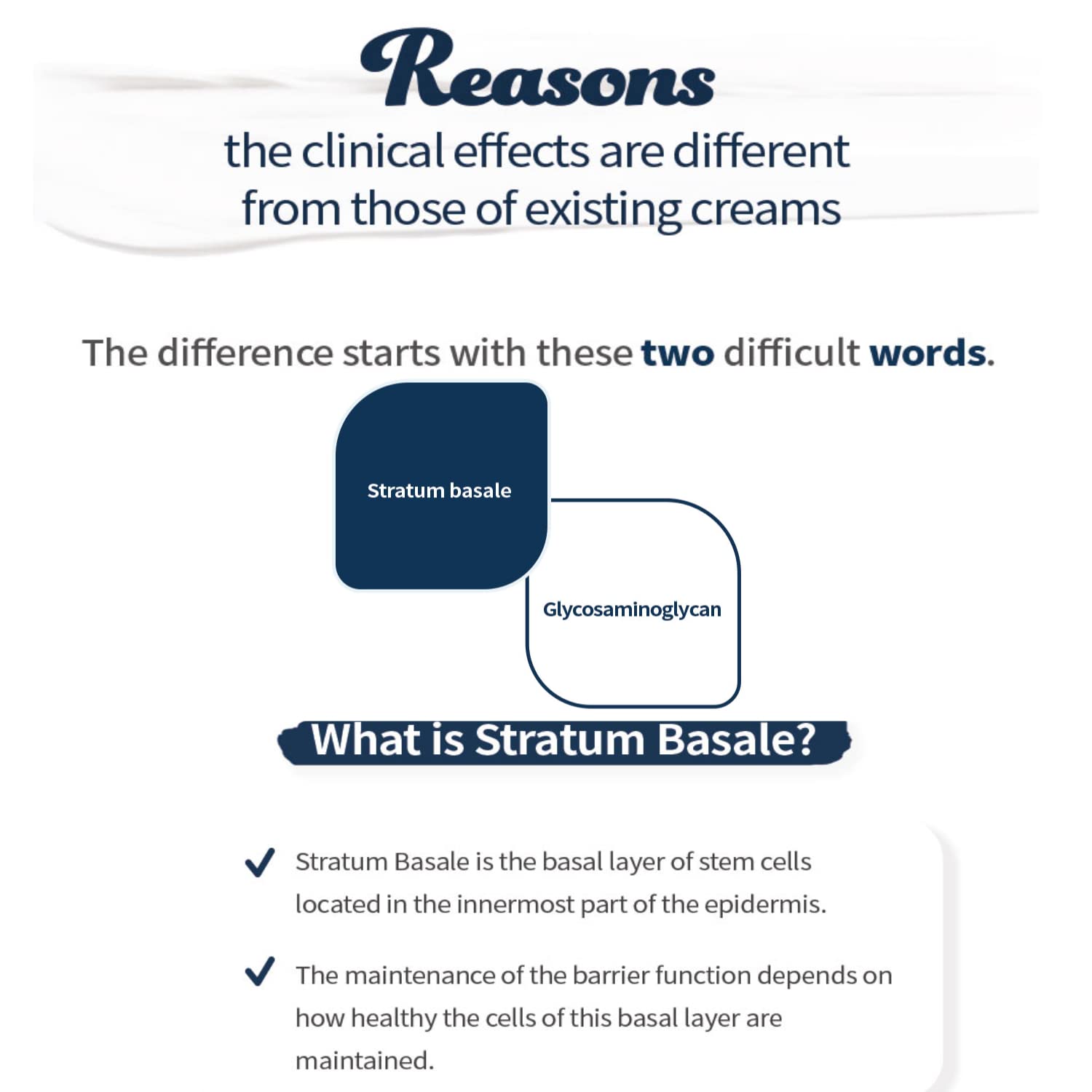 DERM  ALL MATRIX Crema restauradora Stratum Basale  Fortalecimiento de la barrera cutánea  un cuidado hidratante genuino  Hidratación rápida, suave