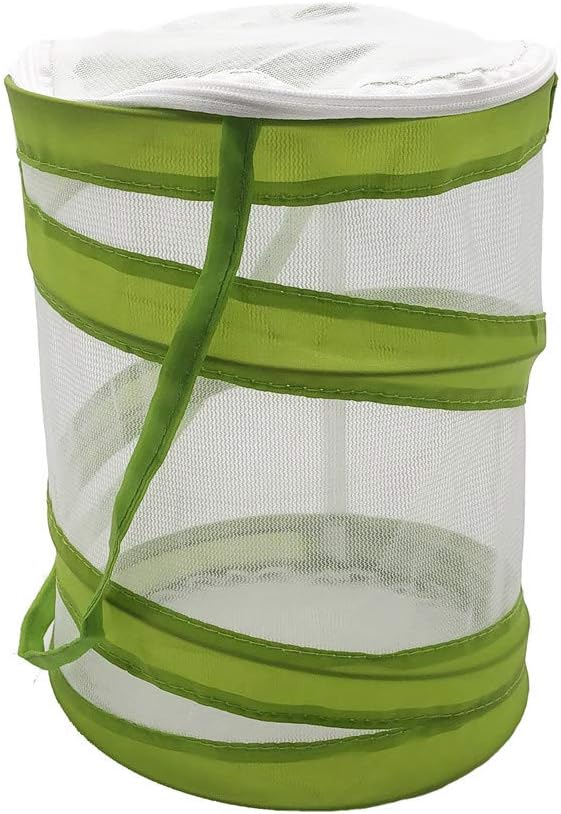 Mini jaula de malla para insectos y hábitat de mariposas y orugas, terrario de insectos emergente de 5.5 x 7 pulgadas de alto para niños