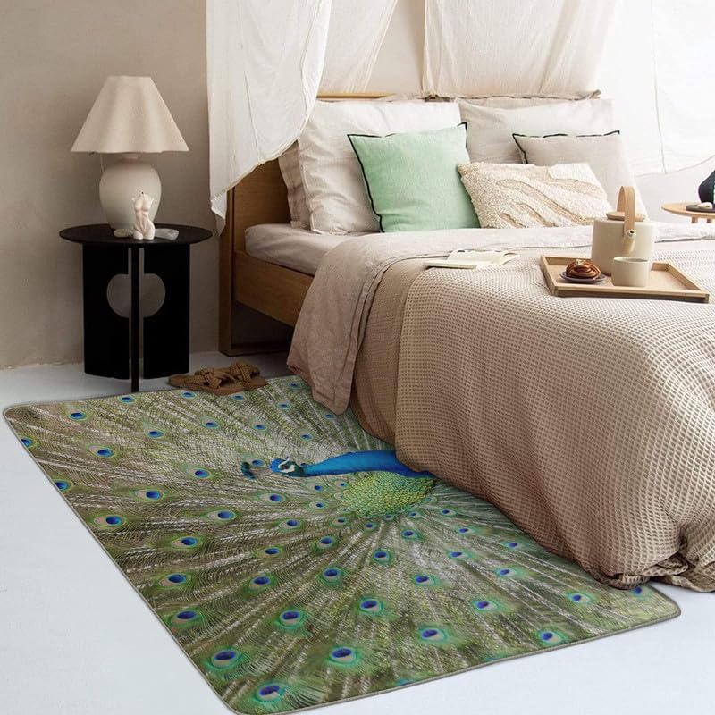Alfombras de pavo real para entrada, dormitorio, sala de estar, alfombra de plumas de pájaro de 2 x 3 pies, lavable, antideslizante, suave, alfombra