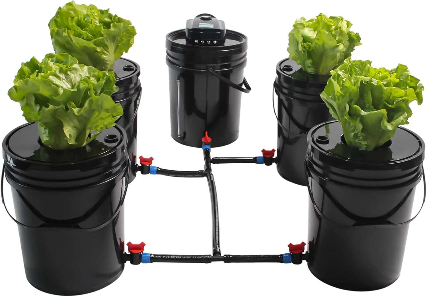 Sistema hidropónico DWC, kit de sistema de cultivo hidropónico DWC de 5 galones y 5 cubos, kit de cultivo hidropónico que incluye bomba de aire de