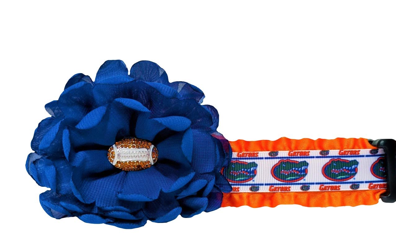 Florida Gators Dog Collar
