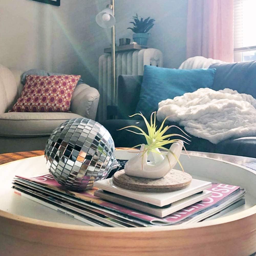 Soporte para plantas de aire, bonito recipiente de cerámica para plantas de aire Tillandsia para suculentas, decoración del hogar para estante de