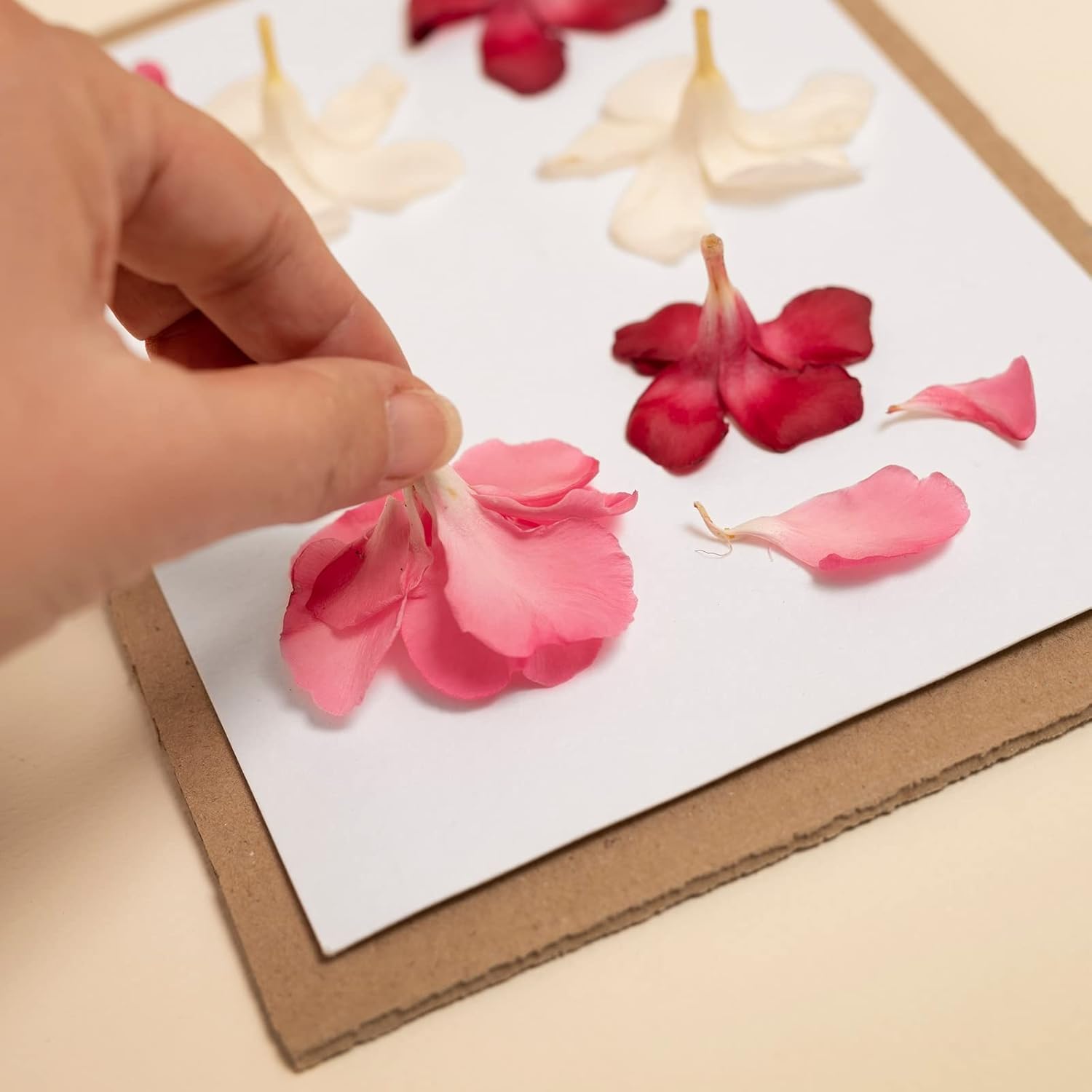 PATIKIL Papel de prensa de flores de 6 x 6 pulgadas, 2 juegos20 hojas de repuesto de papel secante absorbente reutilizable para manualidades,