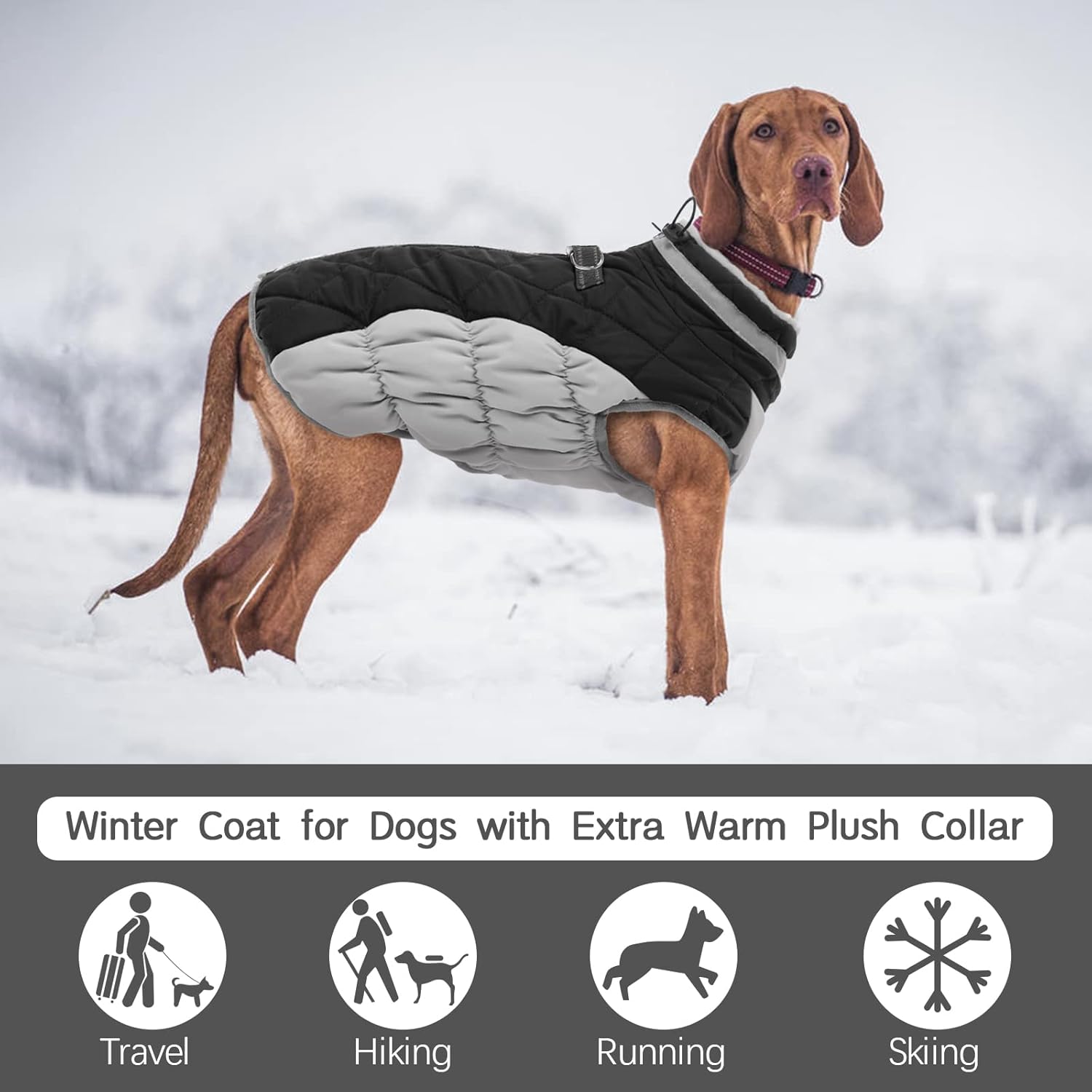 FUAMEY Chaleco acolchado para perro, abrigo reflectante de invierno para perro, chaqueta de invierno cálida a prueba de viento, ropa cómoda para