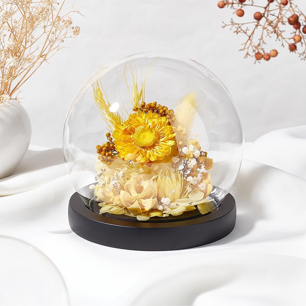 PH PandaHall Cúpula Cloche de cristal de 4.9 x 4.5 pulgadas, vitrina de cristal con base, cúpula decorativa, cúpula de nieve para luces de hadas,