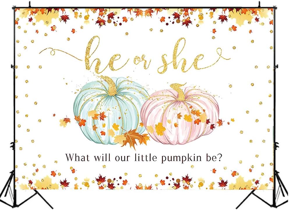 Decoración de calabaza para revelación de género del bebé, vinilo de 7 x 5 pies, hojas de arce doradas, él o ella, rosa o azul, decoración de fiesta