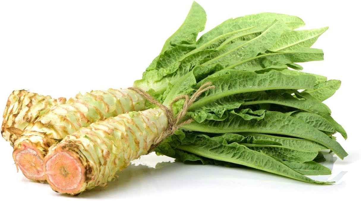 Semillas Vegetales Espárragos Hojas de Lechuga Heirloom para Ensaladas – 1000 Semillas