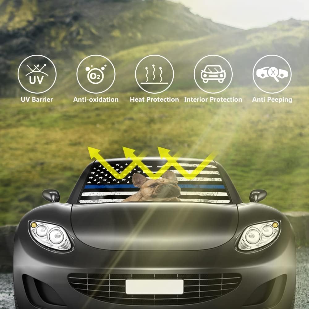 Parasol para parabrisas de automóvil, diseño de ojos de automóvil enojado, color gris oscuro, divertido parasol para parabrisas delantero, reflector