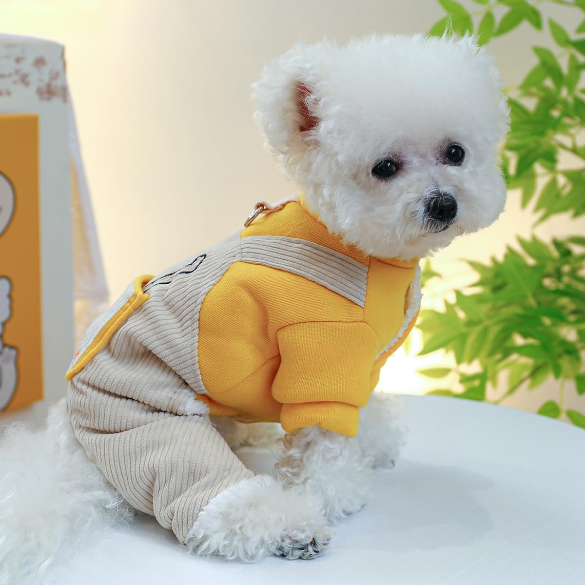 Ropa de algodón para perro, traje de invierno cálido para gatos, chaqueta de cachorro, abrigo de forro polar cálido para mascotas, trajes de