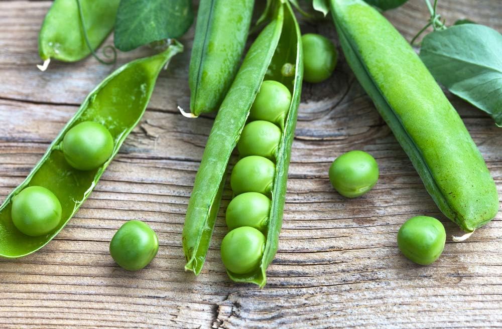 Lincoln Garden – Semillas de guisantes para plantar, más de 50 semillas tradicionales por paquete, semillas de jardín de Isla (semillas de jardín de